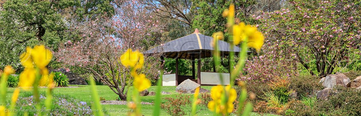 Peter Bellingham Photography Japanese Garden - Cowra